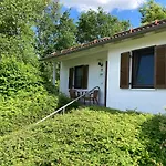 度假居 Brandt Im Falkenstein (Upper Palatinate)