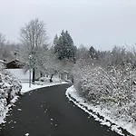 Brandt Im 度假居 Falkenstein (Upper Palatinate)
