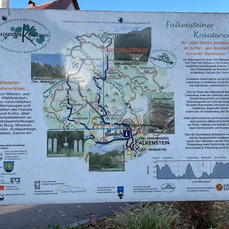 Brandt Im Falkenstein (Upper Palatinate)