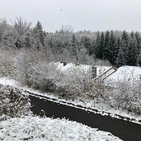Brandt Im Ferienhaus Falkenstein (Upper Palatinate)