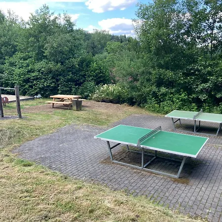 Brandt Im Falkenstein Holiday home