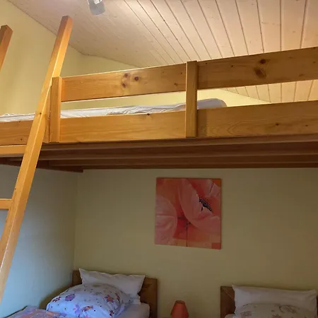 Brandt Im Ferienhaus Falkenstein (Upper Palatinate)